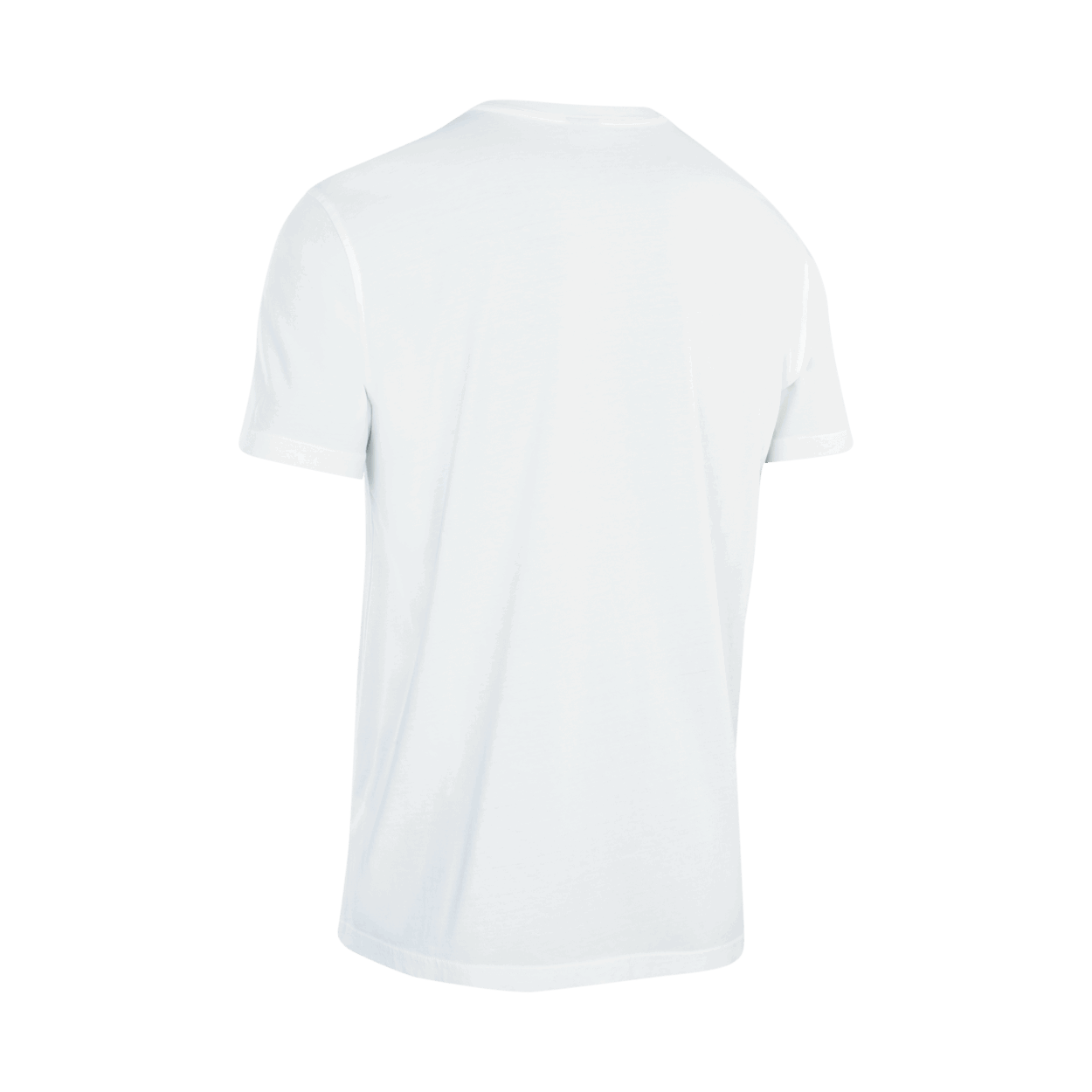 ION Tee Logo SS men 2022