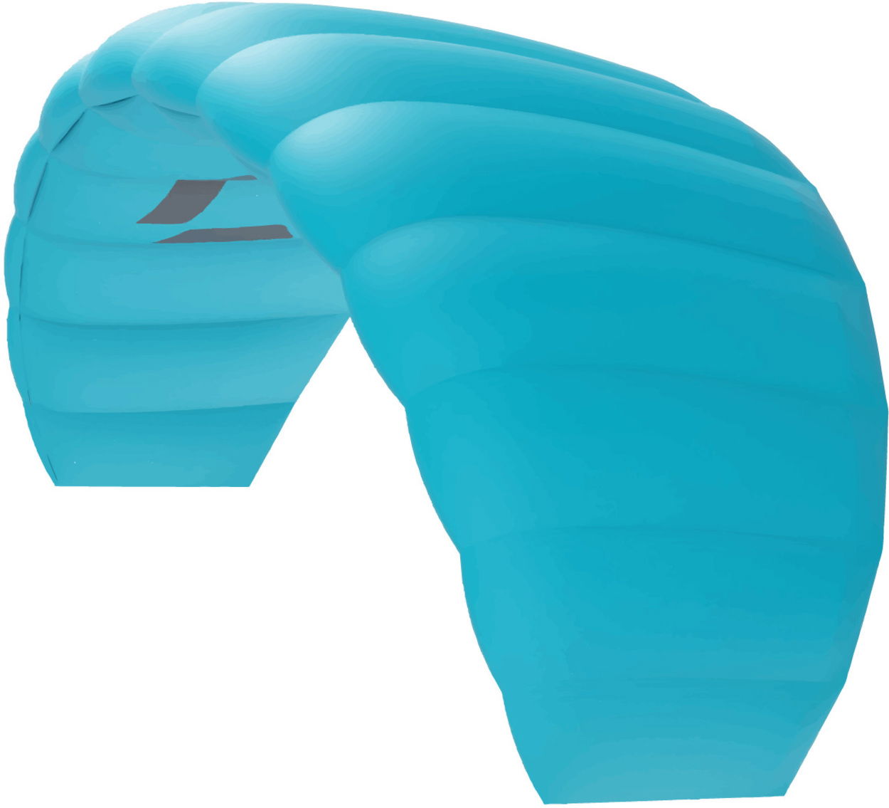 Duotone Trainer Lizard without leash 2025