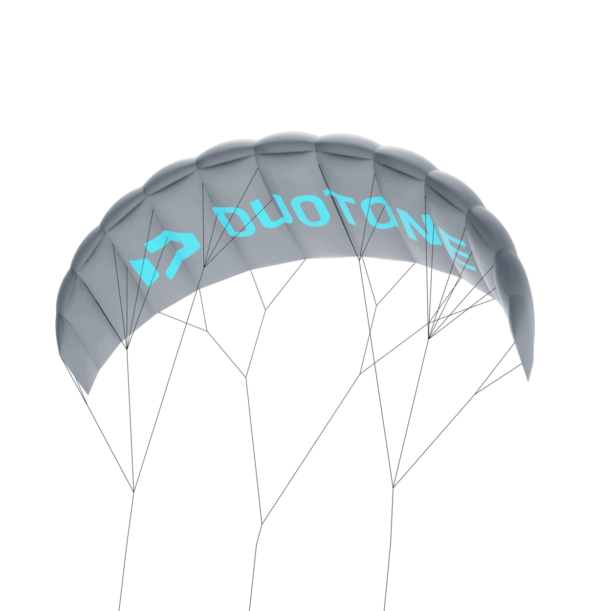 Duotone Trainer Lizard without leash 2025